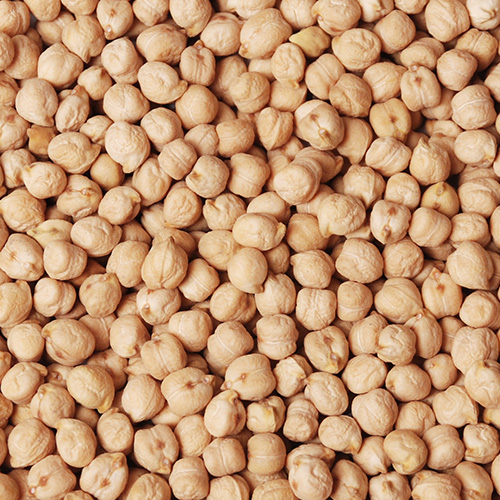 NOHUT KOÇBAŞI 8 MM